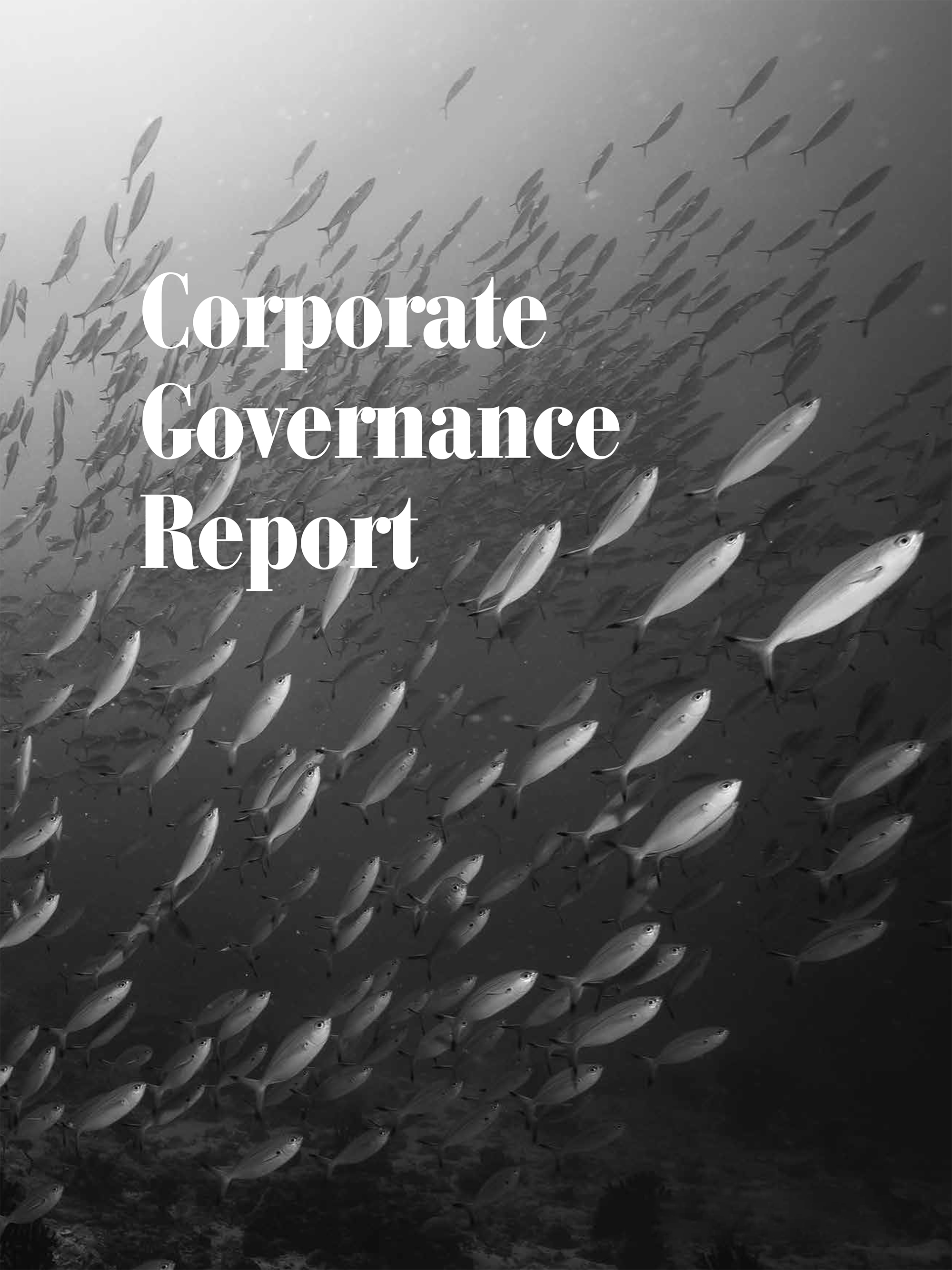 Corporate Gov Report-Cover.jpg